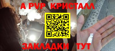 бошки Дубна